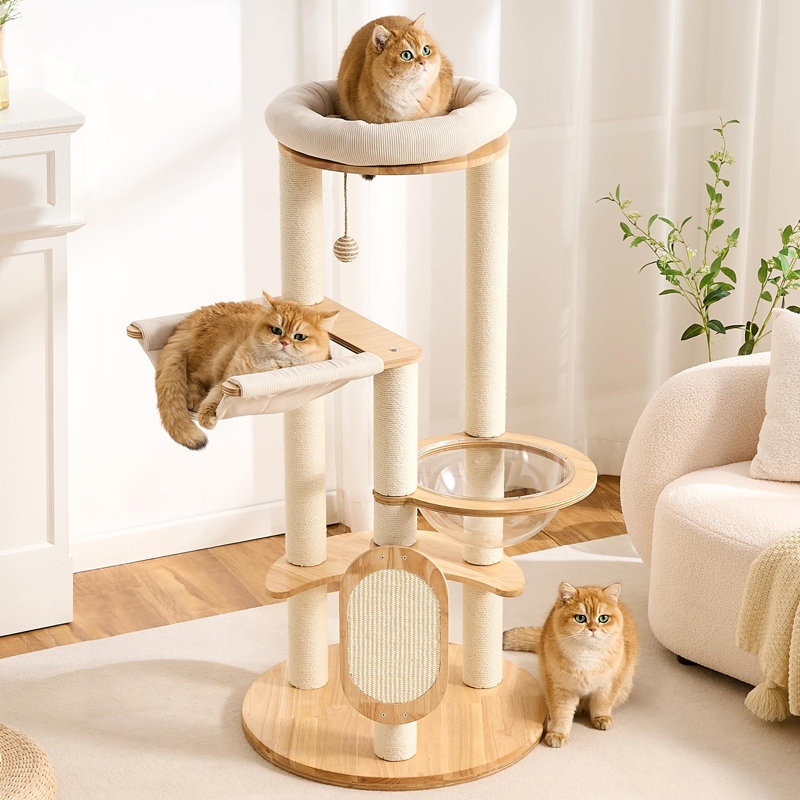 Petite tour pour arbre à chat moderne en bois massif avec poteau à griffer pour l'intérieur, tour multifonctionnelle pour arbre à chat avec lit, capsule d'espace, hamac, planche à gratter, boule pendante