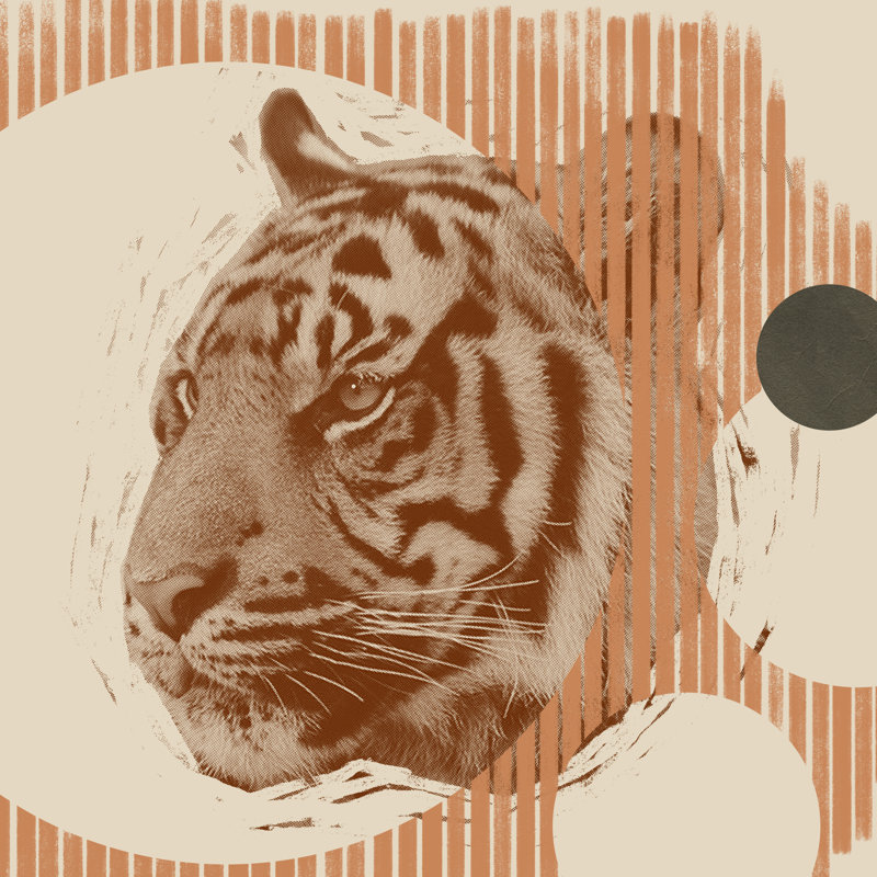 Pop Art Tiger II by Jacob Green - Wrapped Canvas Print, 30cm H x 30cm W x 3.8cm D