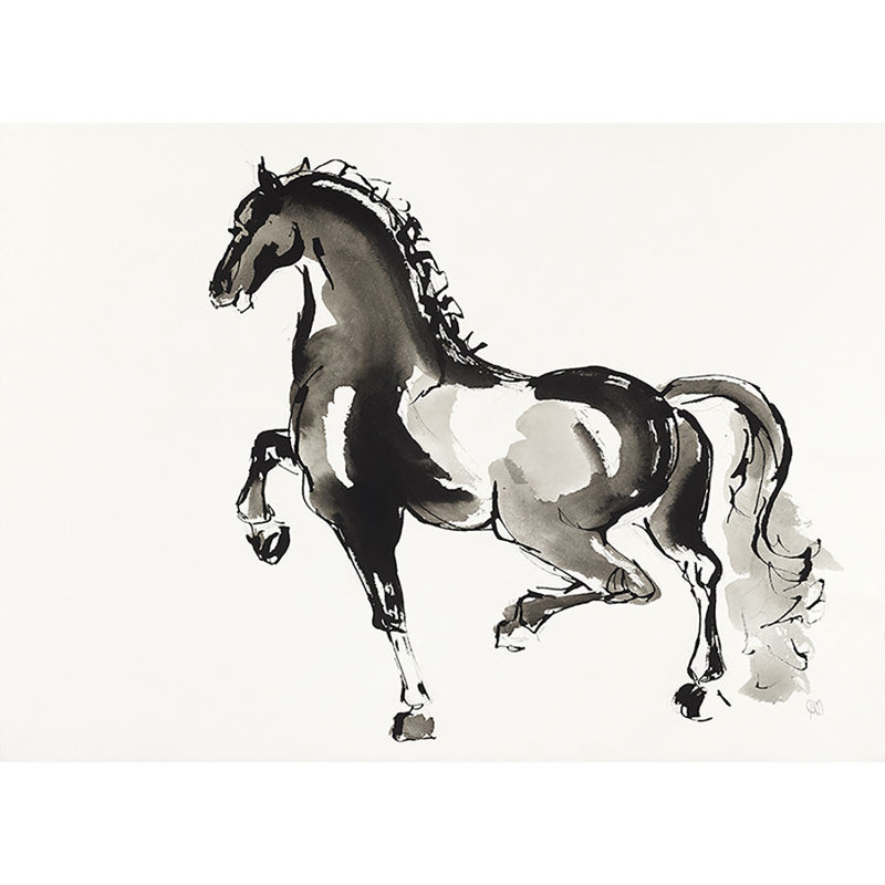Horse H7 Print by Chris Paschke, Plexi, 30" H x 40" W x 1.5" D