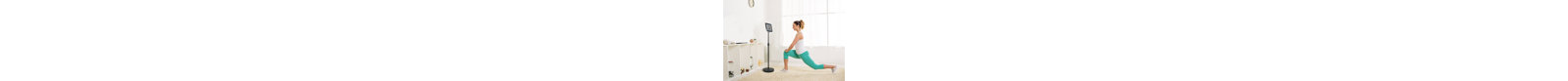 Aidata U.S.A Single Screen Floor Stand Mount