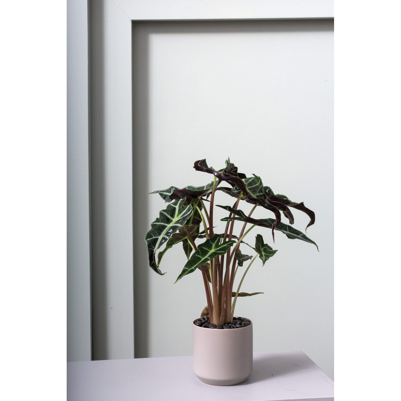 Parsons Ceramic Pot Planter, Gray, 2" H x 2.5" W x 2.5" D