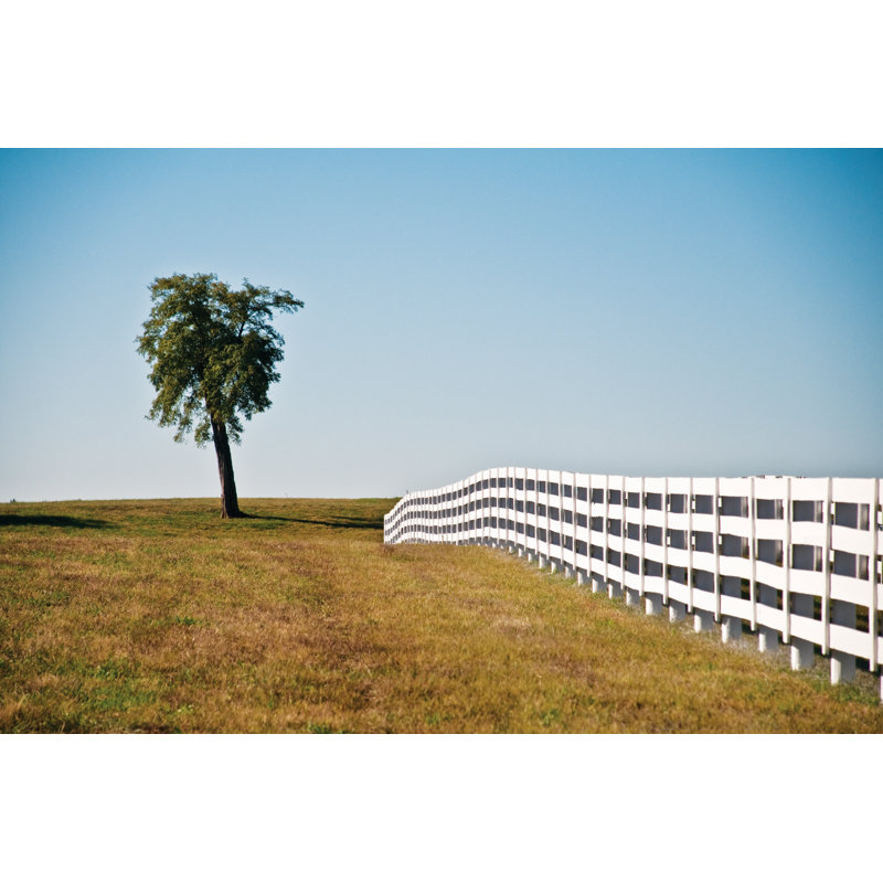 Pasture 2 - Wrapped Canvas Print, 81cm H x 122cm W x 3.8cm D
