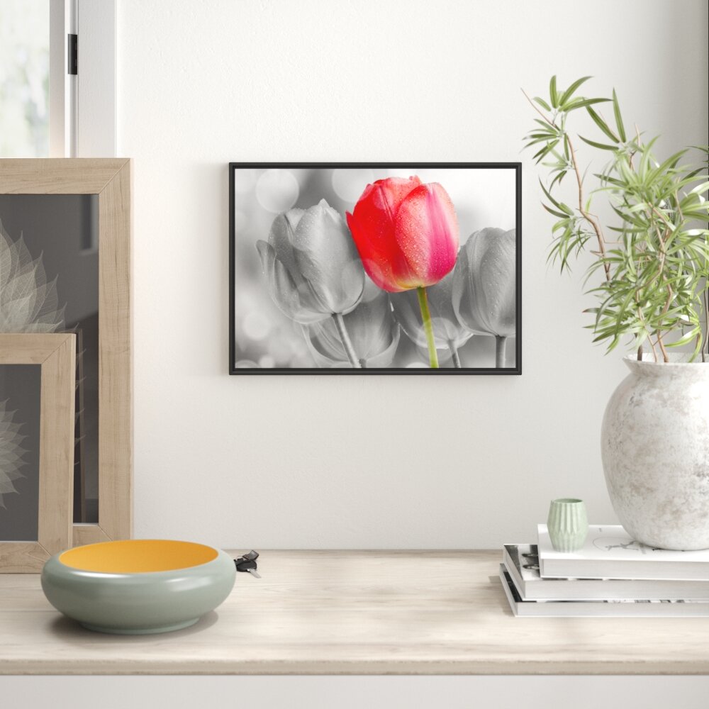 Gerahmtes Wandbild Wunderschöne Tulpen