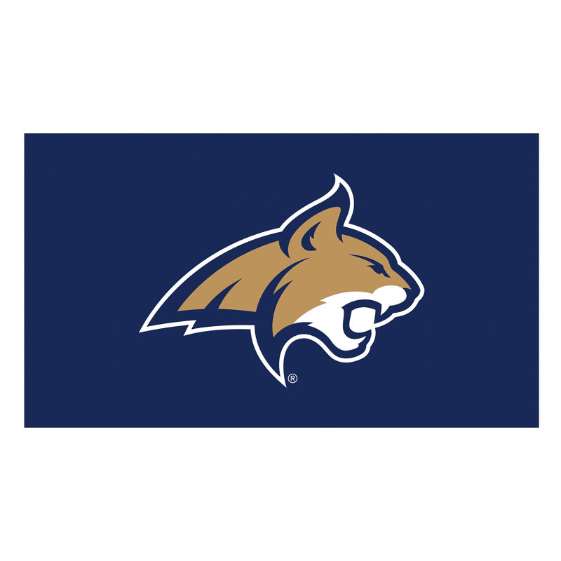 Tapis polychrome en PVC, 16 po x 28 po, Montana State University