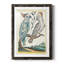 Pastel Birds I Premium encadré mat - prêt à être accroché-1528946718-1528946713