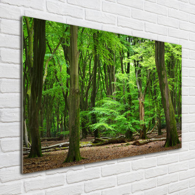 Dutch Forest - No Frame Print on Glass