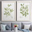Toile encadrée Herb Sage-Premium - prête à être accrochée-652120137-652120138