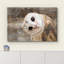 «Bird Bird Curious Owl Look» (Tyto Albahead), tête en gros plan sur toile-93629223-93629225-119598468