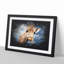 Giraffe Vol.2 - Picture Frame Painting-62808159-62808160