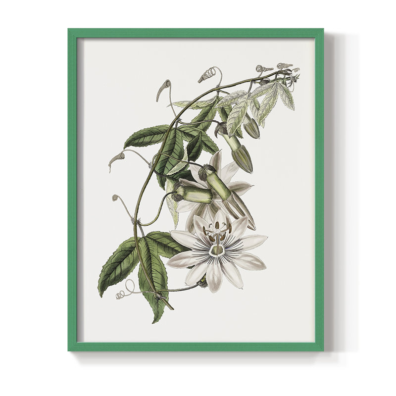 Tropical Botanical II, reproduction encadrée - bois massif, Vert, H 30 po x l 24 po