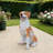 Lifelike Hound Dog Statue
