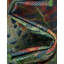 Tapis intérieur / extérieur en polypropylène tissé à la machine Izabella-98547258