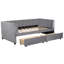 Lit de jour simple en velours gris avec 2 tiroirs ergonomiques pour un espace de rangement supplémentaire, design moderne-356793491