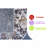 5X7 Multi /Traditional Non-Shedding Living Room Bedroom Dining Home Office Stylish And Stain Resistant Area Rug-1746760262