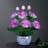 Ranunculus Arrangement in Pot-2131488274
