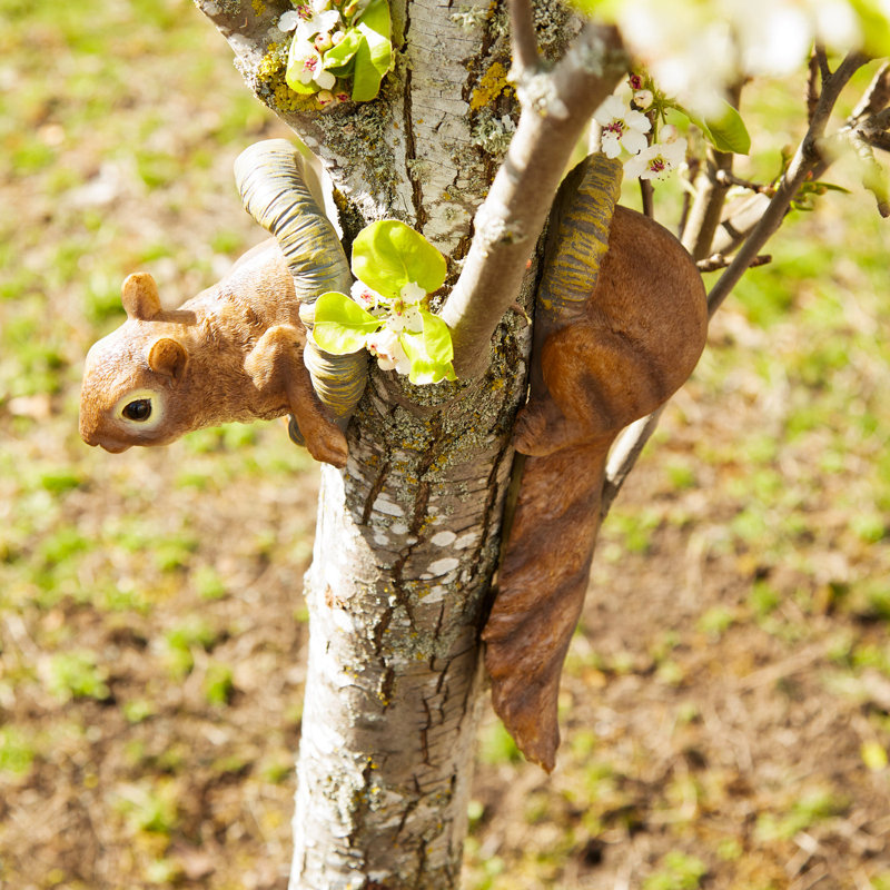 Arbre de forêt