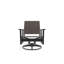 Wexler Outdoor Swivel Lounge Chair-1102391100-1099678803