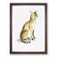 Allied Cat 1 Piece Single Picture Frame Painting-55545031-55545036