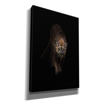 " Lion " by Incado