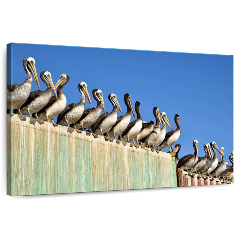 Brampt Pelican Party, 8" H x 12" W