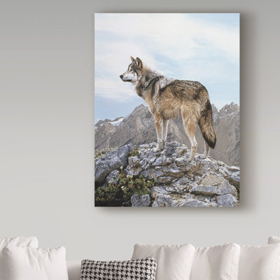 Etelca 'Alpine Lookout' Graphic Art Print on Wrapped Canvas