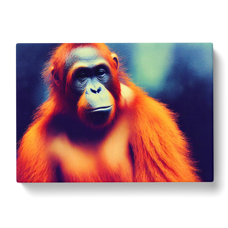 Orangutan Portrait Vol.2 - Wrapped Canvas, 40cm H x 60cm W x 3cm D
