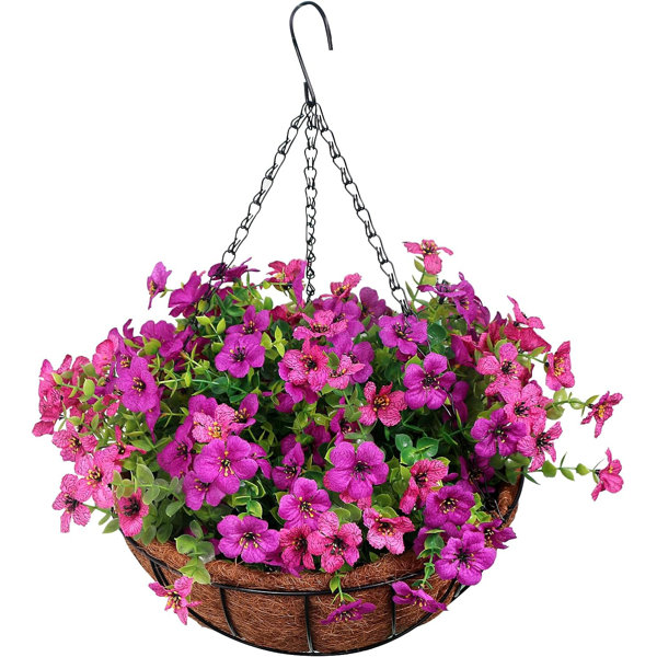 Primrue Daisy Hanging Basket Arrangement in Basket | Wayfair