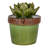 Landscape & Nature Figurines & Sculptures-338451218