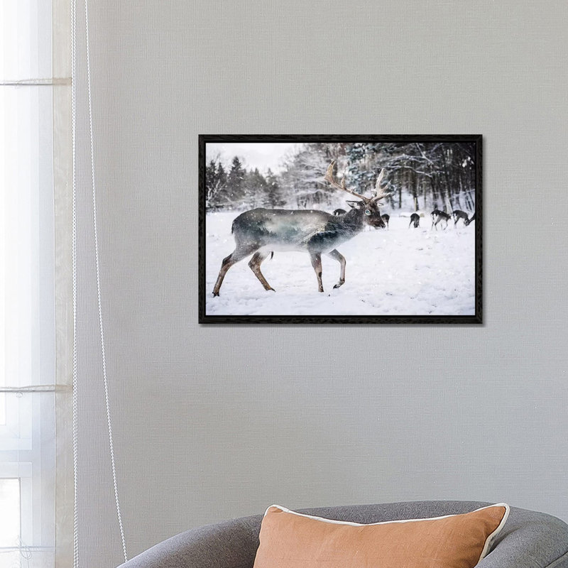 Winter Deer II by Paul Haag - Print on Canvas, 66.04 cm H x 45.72 cm W, Black Framed