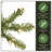 Dunhill Fir Slim Tree with Lights-105626654-105626651