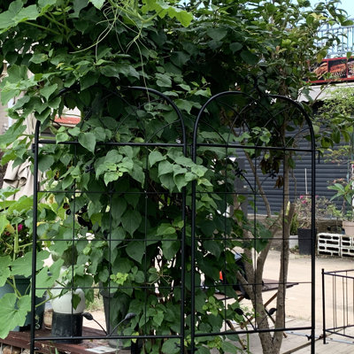 Paquet de 2 treillis pour plantes d'intérieur / extérieur en métal, 20 po x 71 po, thermolaqué pour la prévention de la rouille, treillis idéal pour jardin