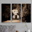 «A Premium», ensemble de 3 reproductions de photos sur toile-1771881115