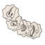 Line Drawing Embroidered Linen Coasters
