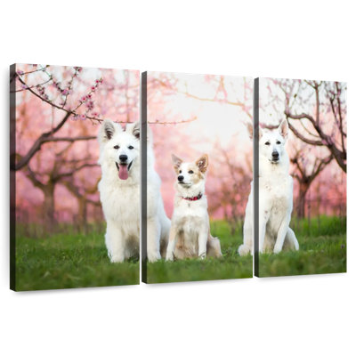 Famille de chiens