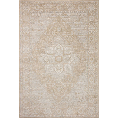 Oriental Indoor Rug