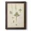 Toile encadrée de qualité supérieure Fern Study II - prête à être accrochée-34021716