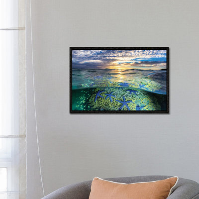 A Sea Of Stars by Jordan Robins - Print on Canvas
