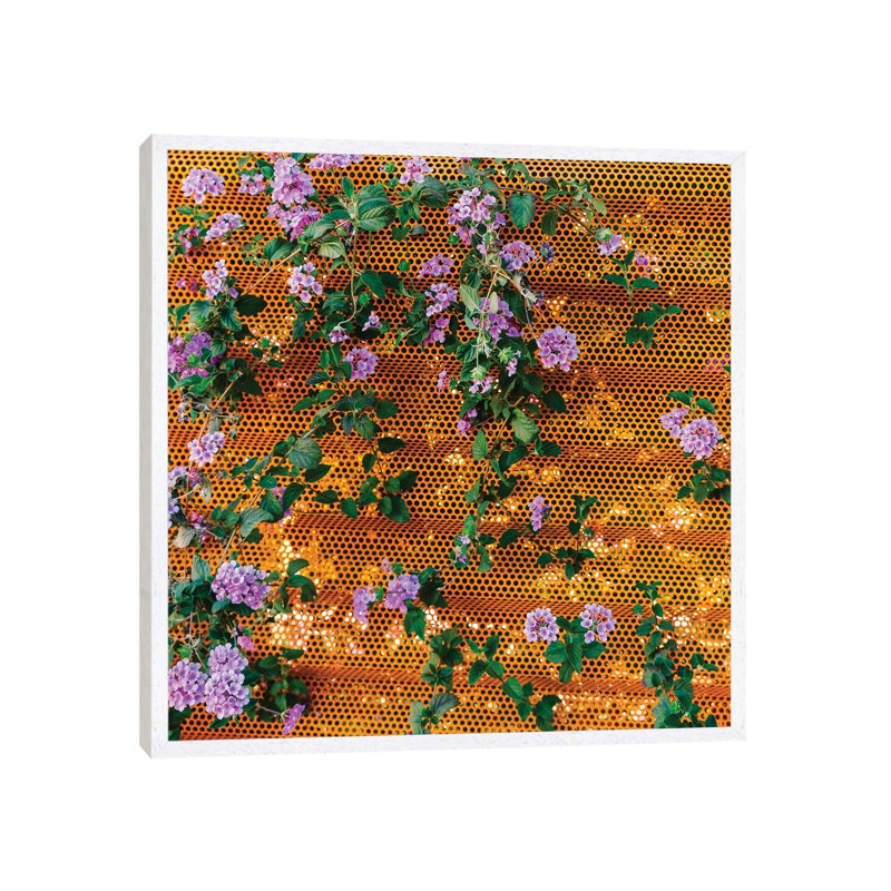 Palm Springs Blooms II by Bethany Young - Print on Canvas, 45.72cm H x 45.72cm W x 3.81cm D, White Framed