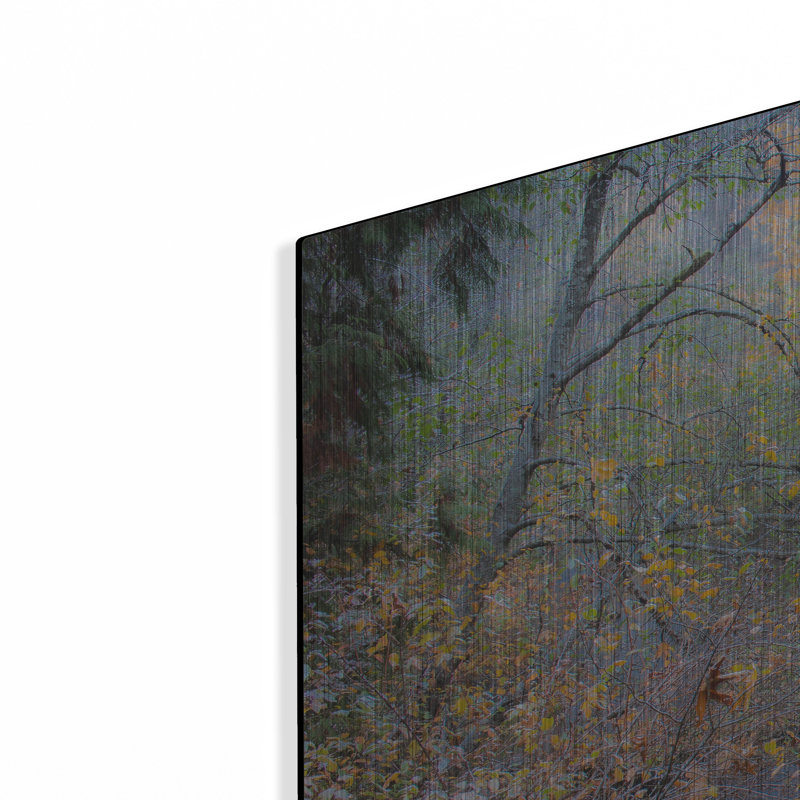 «Snow in Fall» par Tim Oldford, art mural en métal, H 24 po x l 36 po