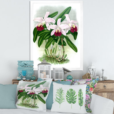 «Vintage White Orchid Flower I», reproduction d'art sur toile encadrée