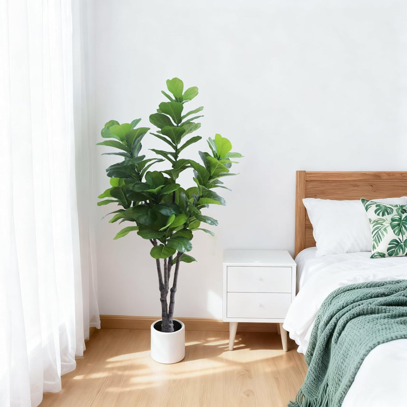 72cm Plant