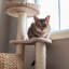 90cm H Cat Tree