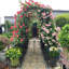 Arche de jardin en métal avec deux supports à plantes - Support pour plantes grimpantes de 79,5 po de largeur x 86,6 po de hauteur, tonnelle d'extérieur, noir