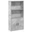 Bookcase 60X24x120 Cm Engineered Wood-809861986