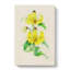 Illustration Of Yellow Lilies - Wrapped Canvas-55361866