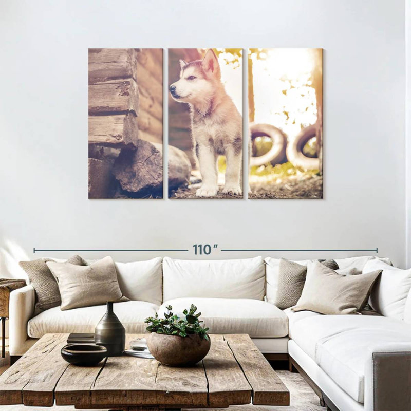 Adorable Alaskan Malamute, 48" H x 74" W