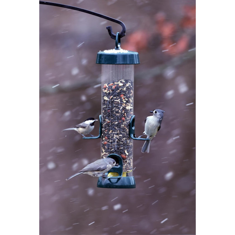 Brome Tube Solution Wild Bird Feeder, 2.6-Pound Seed Capacity, Clear