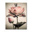Horloge murale Jeanel-533091388