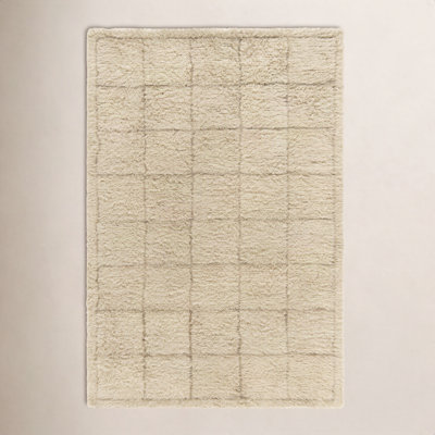 Anemone Hand-Tufted Grid Shag Rug