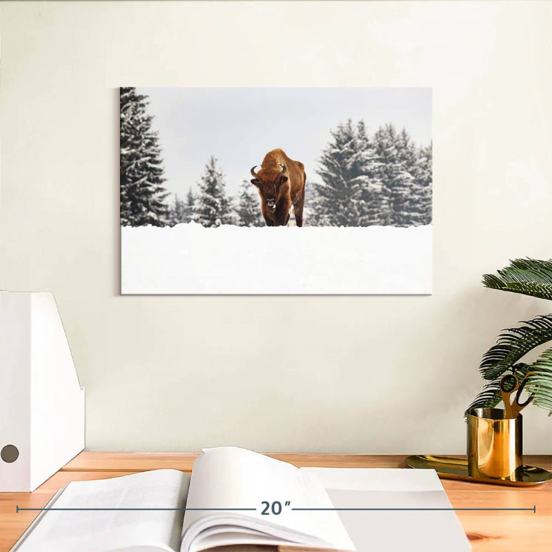 Bison At Winter Fields, 8" H x 12" W